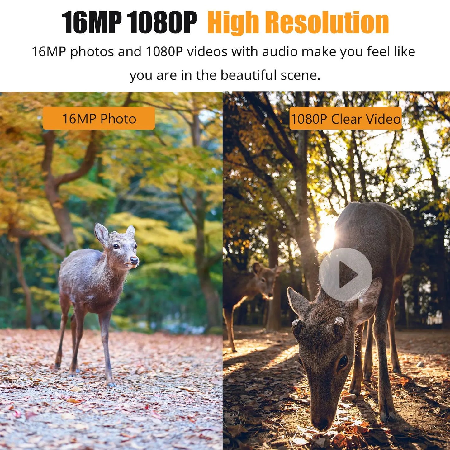 waterproof camera 1080P Hunting Camera 2.0in LCD 16MP Infrared Night Vision Mobile Monitoring IP66 Waterproof Trail Camera