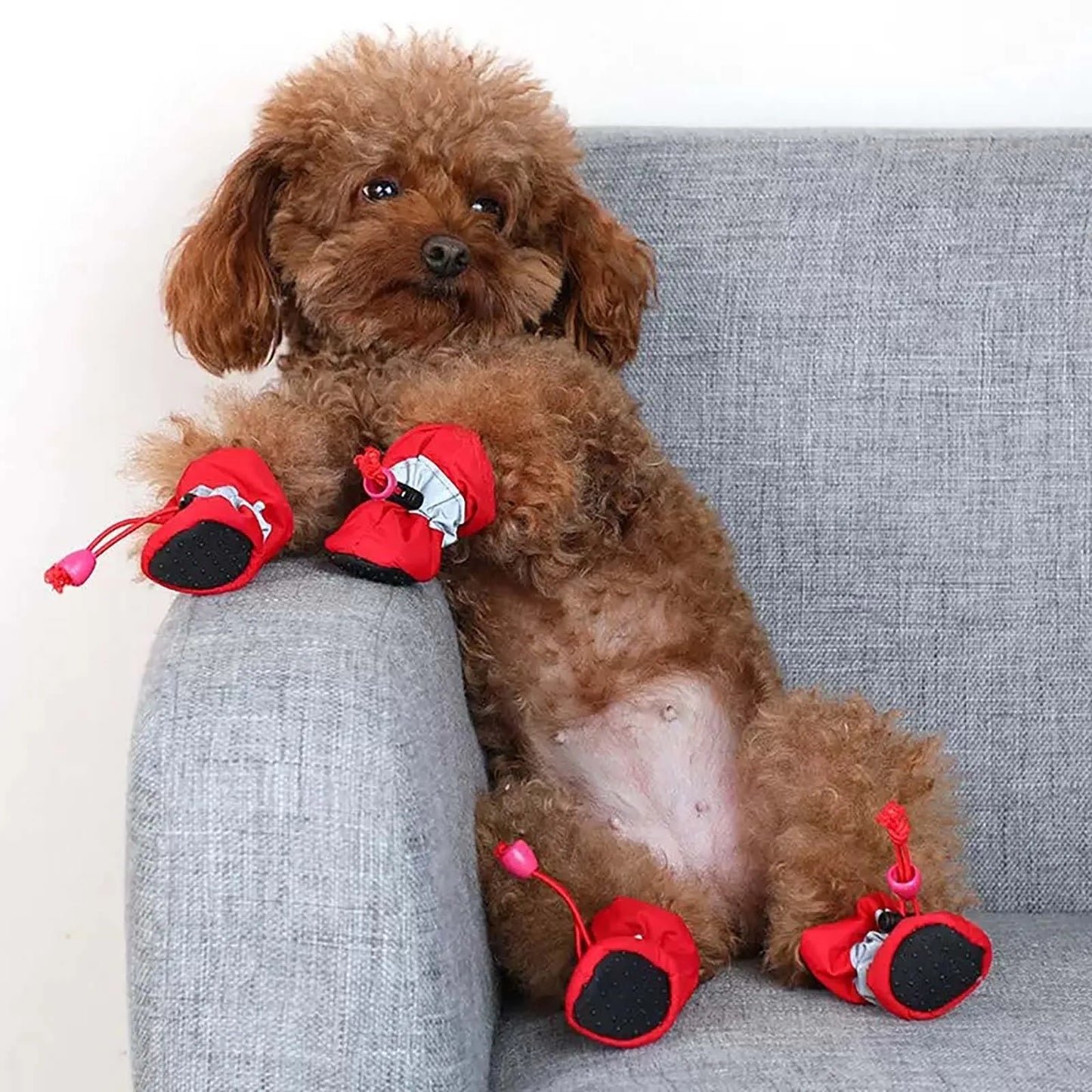 Dog Shoes That Don'T Fall Off Breathable Soft-Soled Shoes Non-Slip Walking Shoes For Adjustable Dog Foot Covers For Going Out
